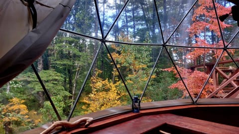 Cabin