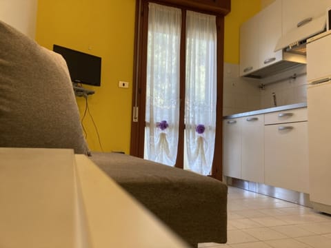 Apartment, 1 Bedroom, Balcony, City View | Room amenity