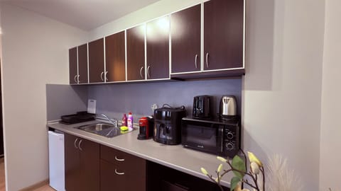Deluxe Apartment, City View | Private kitchen