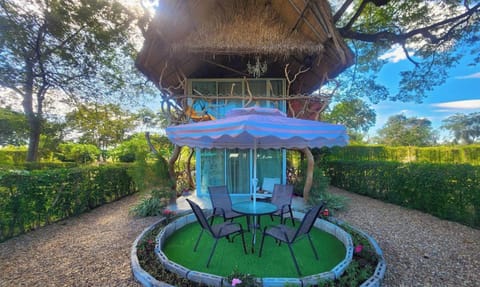 Tree House | Terrace/patio
