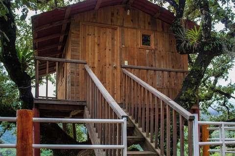 Standard Cabin, Garden View