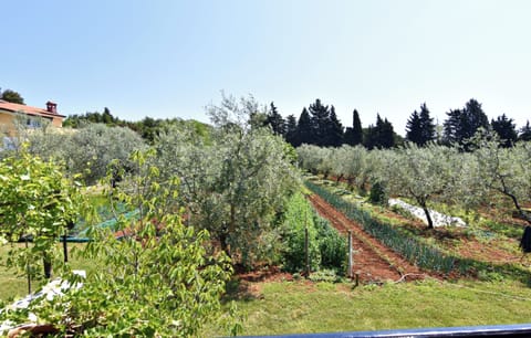 Apartment, 1 Bedroom, Balcony, Garden View | Garden
