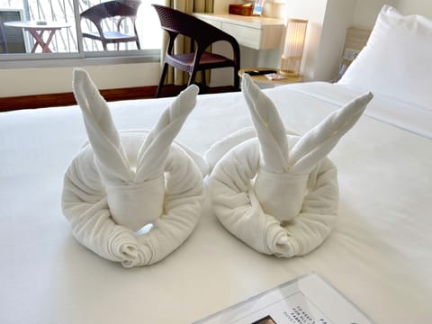 Deluxe Double Balcony - Premium | Desk, free WiFi