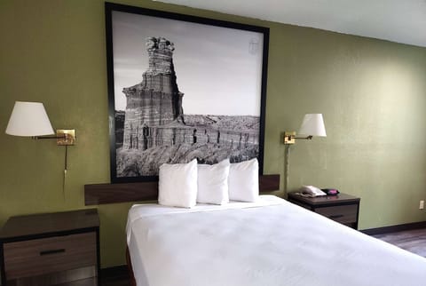 Standard Room, 1 Queen Bed | Desk, laptop workspace, iron/ironing board, free cribs/infant beds