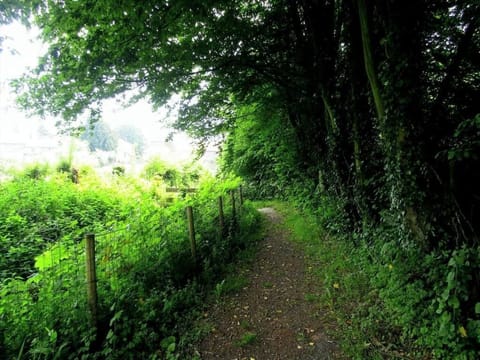 Family Cottage, Garden View | Property grounds