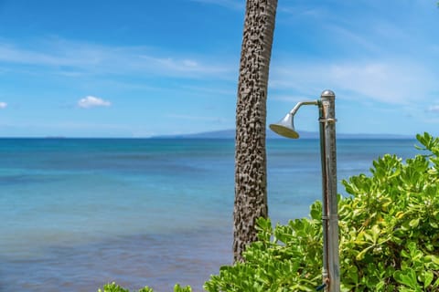 Condo, Multiple Beds, Balcony, Ocean View (Kanai A Nalu 209) | Beach | Beach nearby