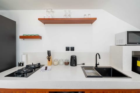 Basic Villa | Private kitchen | Fridge, microwave, stovetop, electric kettle