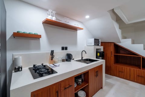 Basic Villa | Private kitchen | Fridge, microwave, stovetop, electric kettle