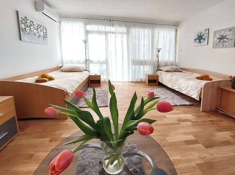 Apartment (A1) | Iron/ironing board, free WiFi