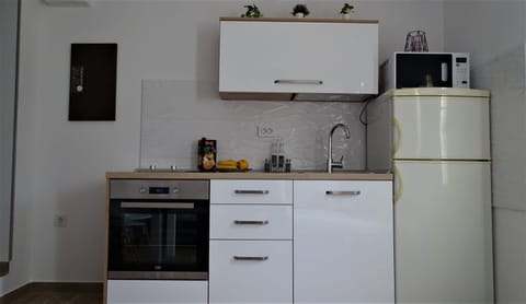 Studio (A1) | Private kitchen | Fridge, microwave, oven, stovetop