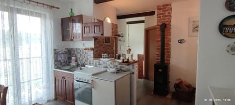 Apartment (A1) | Private kitchen | Fridge, microwave, oven, stovetop