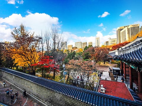 Land view from property