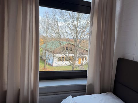 Comfort Double or Twin Room | View from room