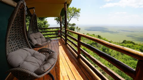 Premium Tent | Terrace/patio