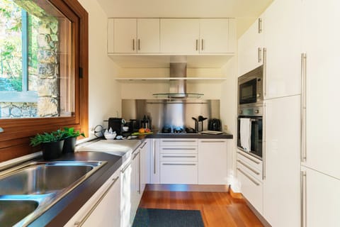 Apartment, Lake View | Private kitchen | Full-size fridge, microwave, oven, stovetop