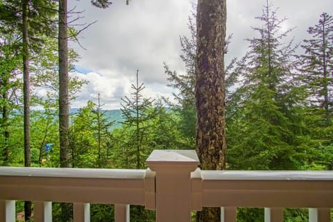 House, 1 Queen Bed with Sofa bed, Balcony, Mountain View (1 Br: Stemwinder 6B) | View from room