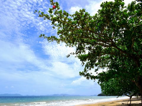 Beach nearby, beach towels