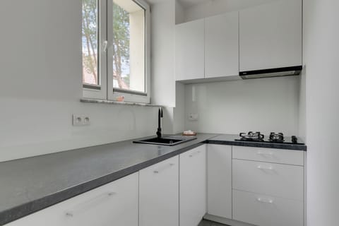 Apartment | Private kitchenette | Coffee/tea maker, electric kettle
