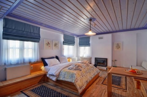 Junior Suite, Terrace | Egyptian cotton sheets, premium bedding, down comforters