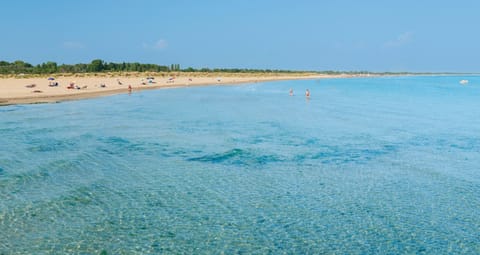 Apartment, 2 Bedrooms, Balcony, City View | Exterior