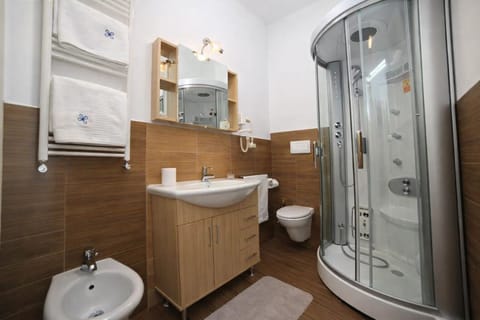 Double Room | Bathroom | Shower, hair dryer, towels, toilet paper