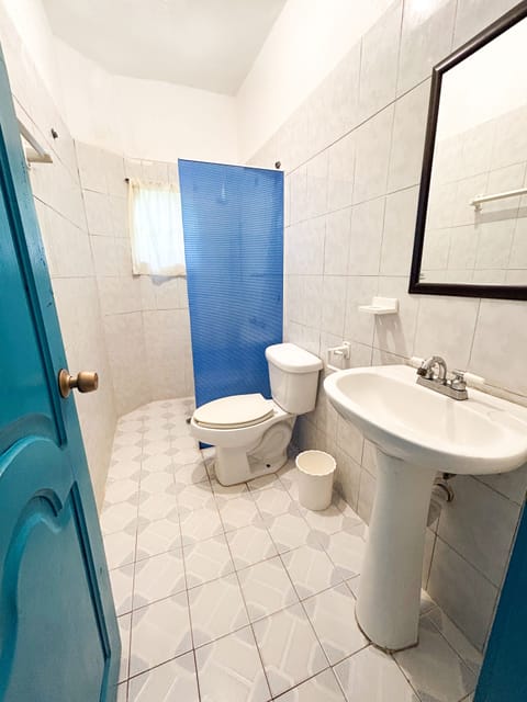 Basic Triple Room | Bathroom | Shower, towels, soap, toilet paper