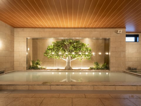Public bath