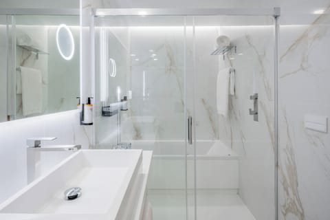 Hair dryer, bidet, towels