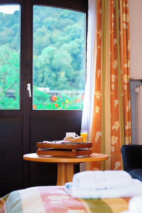 Comfort Double Room, Balcony, River View | Laptop workspace, free WiFi