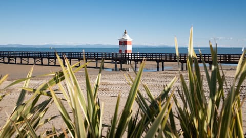 Apartment, 1 Bedroom, Balcony, City View | Beach