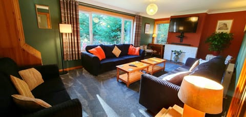 Superior Cabin, 4 Bedrooms (2 double, 1 king, 2 singles) | Living area | 40-inch LED TV with digital channels, TV, DVD player