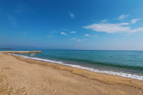 Metis | View from room