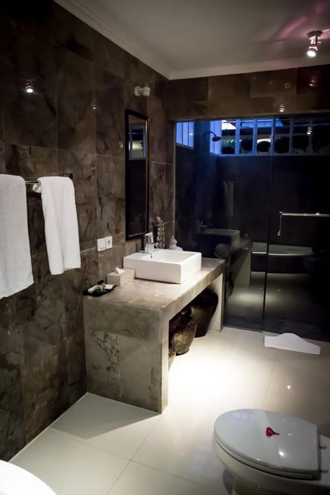 Separate tub and shower, free toiletries, hair dryer, slippers