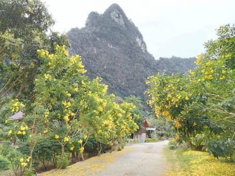 House, 1 Bedroom, Accessible, Smoking | Property grounds