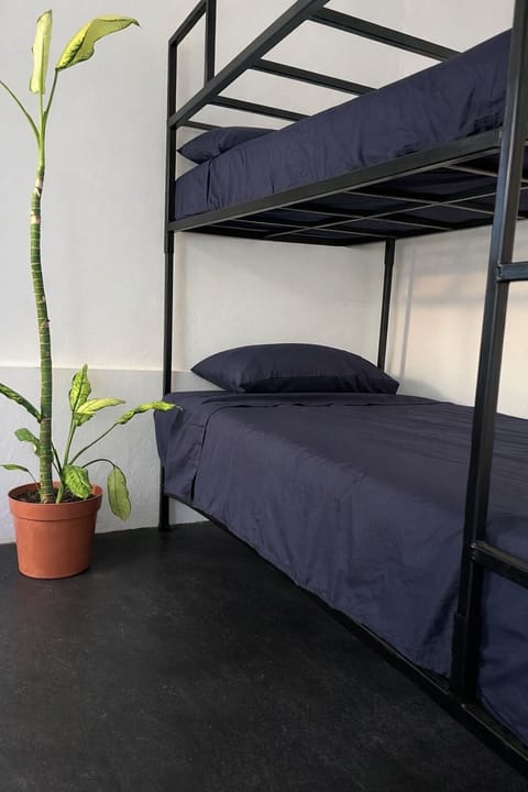 Shared Dormitory | Free WiFi