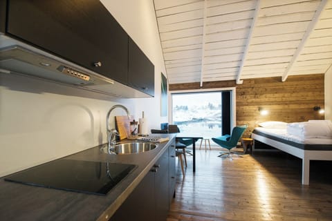 Studio, Kitchen (Myklebustbua #3) | Private kitchen | Dishwasher, cookware/dishes/utensils