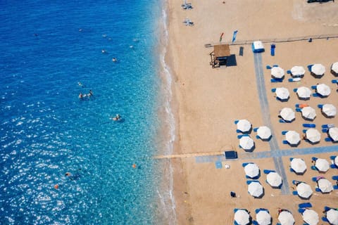 Apartment | 1 bedroom, Internet