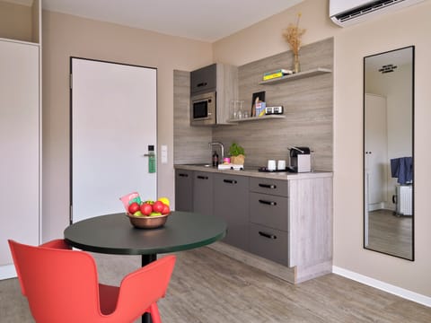 Deluxe Suite, Air conditioning | Private kitchen | Fridge, microwave, stovetop, dishwasher