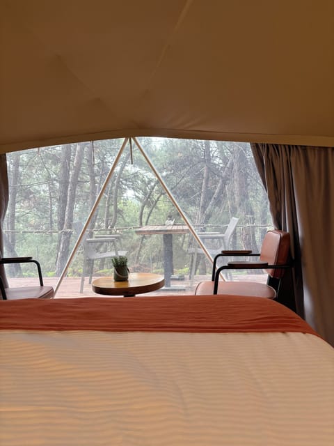 Standard Tent | In-room safe, desk, free WiFi, bed sheets