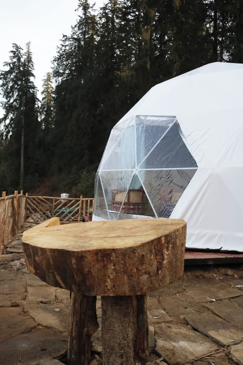 Studio Suite, Mountain View | Terrace/patio