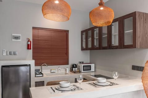 Standard Apartment | Private kitchen | Microwave, stovetop, cookware/dishes/utensils