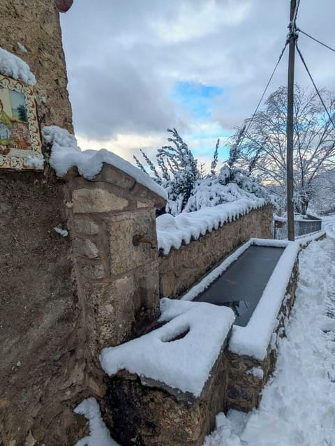 House | Property grounds