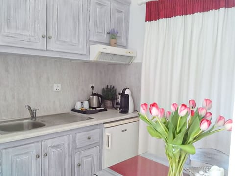 Deluxe Suite, Hot Tub, Sea View | Private kitchen | Mini-fridge, espresso maker, coffee/tea maker, cookware/dishes/utensils