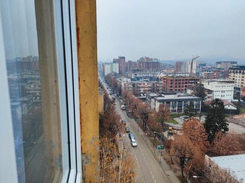 Studio, 1 Bedroom, Smoking, City View | Interior