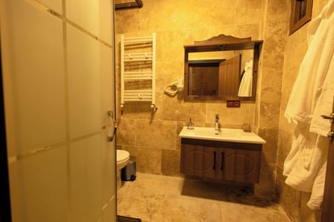 Deluxe Room | Bathroom | Shower, free toiletries, hair dryer, towels