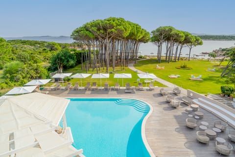 Seasonal outdoor pool, pool umbrellas, sun loungers