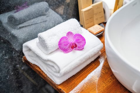 Classic Double Room, Park View | Bathroom amenities | Free toiletries, hair dryer, towels, soap