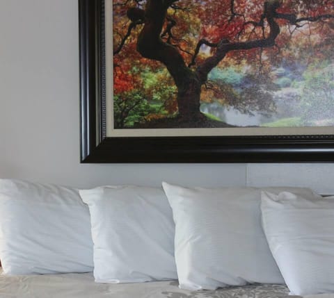 Traditional Room, 1 King Bed, Jetted Tub | Desk, free WiFi, bed sheets