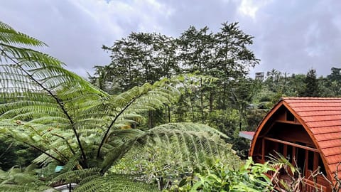 Panoramic Bungalow, 1 Bedroom, Balcony, Garden View | Property grounds