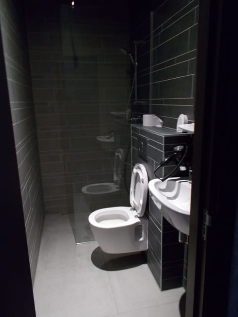 Shower, free toiletries, hair dryer, towels